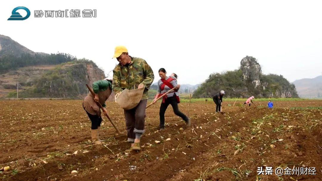 最新興仁下山鎮(zhèn)視頻，揭示一個(gè)美麗而充滿活力的鄉(xiāng)村面貌