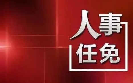 中央最新人事任免，蔡某某的新職務(wù)與未來展望