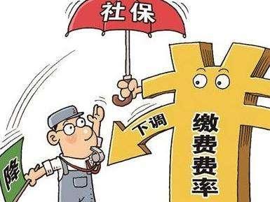 上海最新社?；鶖?shù)